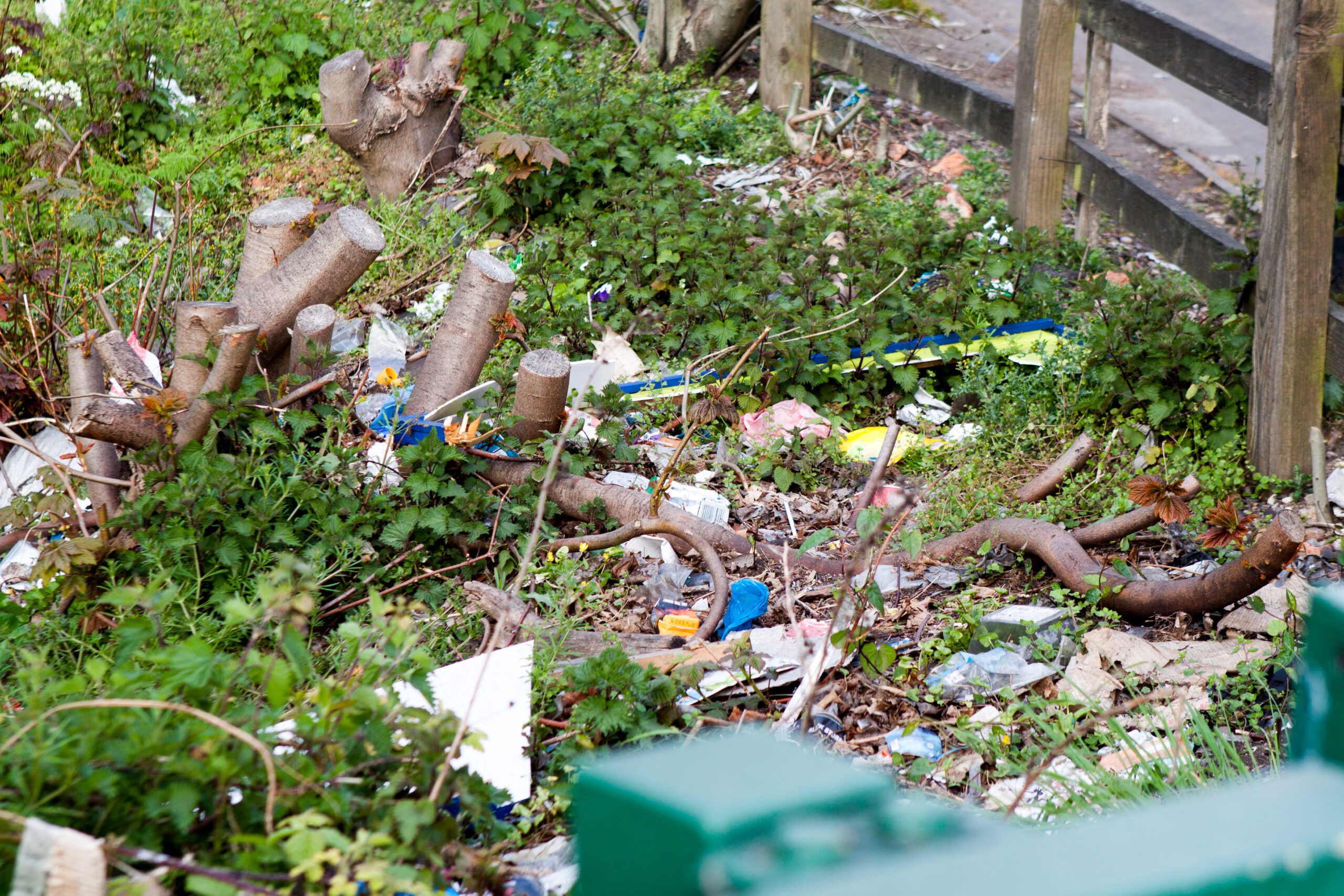 Example of areas cleared